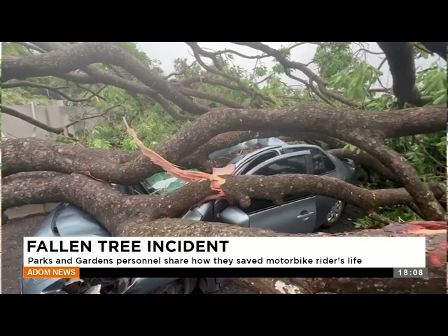 ⁣Fallen Tree Incident: Parks and Gardens personnel share how they saved a motorbike rider's life