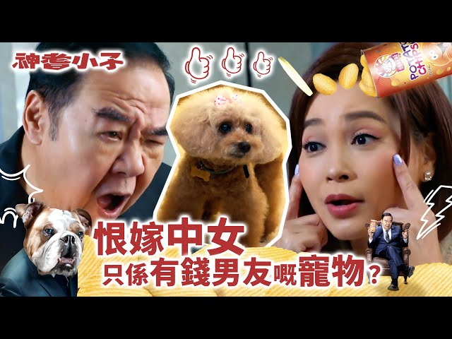 ⁣神耆小子｜恨嫁中女 只係有錢男友嘅寵物？(Eng／繁／簡字幕)｜鄭則士｜蕭正楠｜Archie冼靖峰｜樊亦敏｜傅嘉莉｜曹永廉｜羅毓儀｜第一集劇情｜劇集精華｜溫情喜劇｜TVB港劇推薦