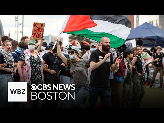 ⁣Pro-Palestinian protesters return to encampment at MIT