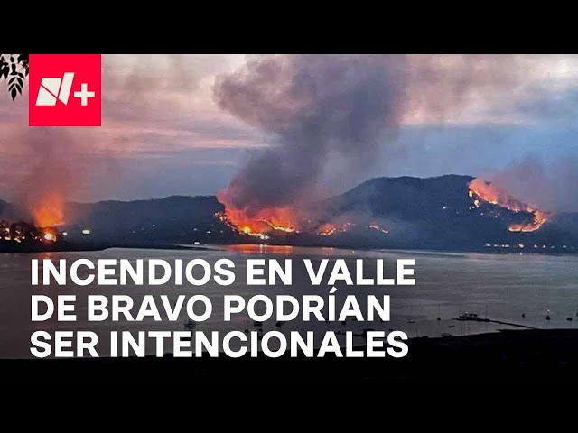 ⁣Incendios en Valle de Bravo habrían sido intencionales; piden apoyo para brigadistas - En Punto