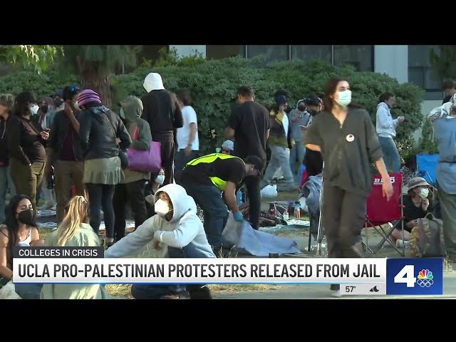 ⁣UCLA pro-Palestinian protesters released from jail