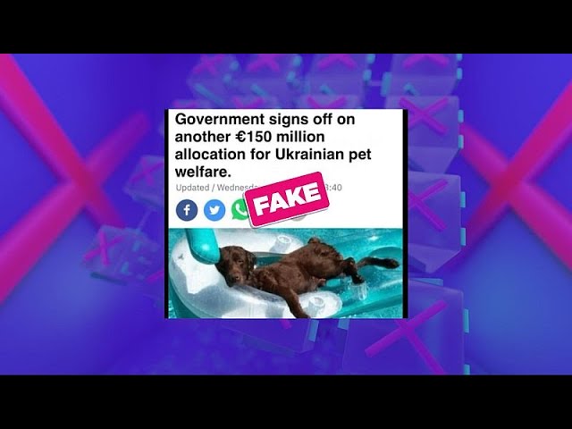 ⁣No, this RTÉ headline on Irish funds for Ukrainian pets isn’t real