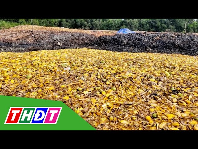 ⁣Tiền Giang: Bãi rác "lộ thiên" gây ô nhiễm trầm trọng | THDT