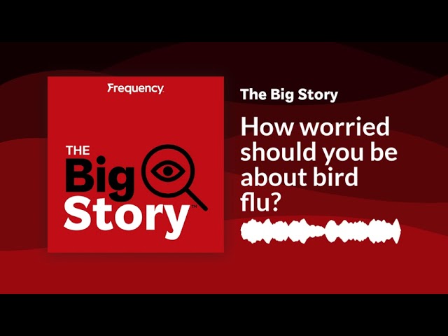 ⁣How worried should you be about bird flu? | The Big Story