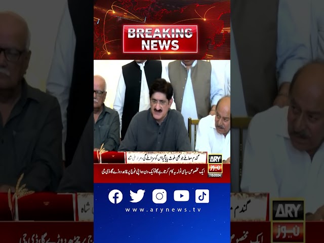 ⁣"PM has formed a committee on wheat issue," CM Sindh Murad Ali Shah #WheatProcurement #Mur