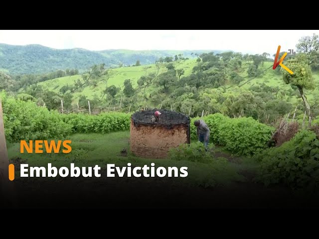 ⁣Embobut Evictions: Sengwer Community’s Struggle Against KFS Actions.
