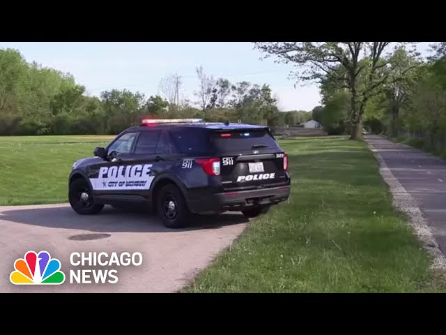 ⁣Woman brutally attacked while walking her dog in McHenry