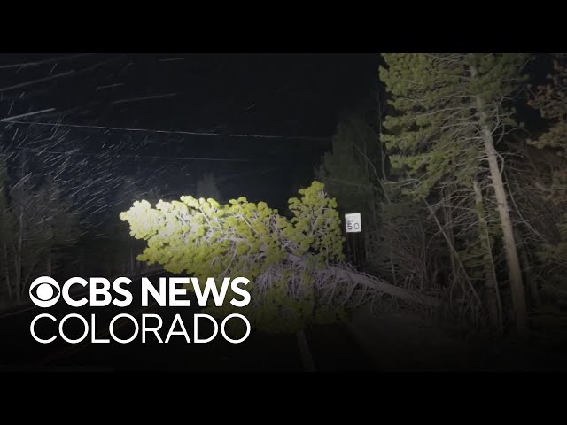 ⁣Powerful winds tear down trees and knock out power along the Front Range
