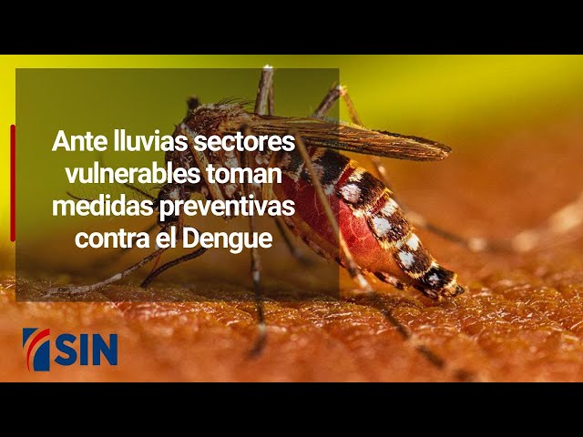 ⁣Ante lluvias sectores vulnerables toman medidas preventivas contra el Dengue