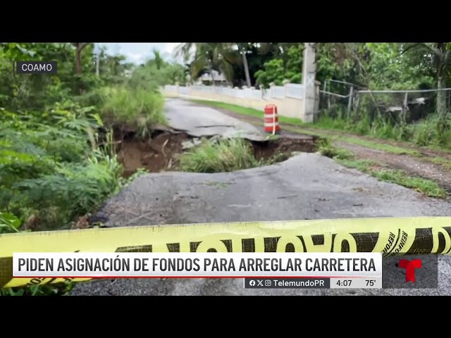 ⁣Aguaceros e iguanas provocan colapso de carretera en Coamo