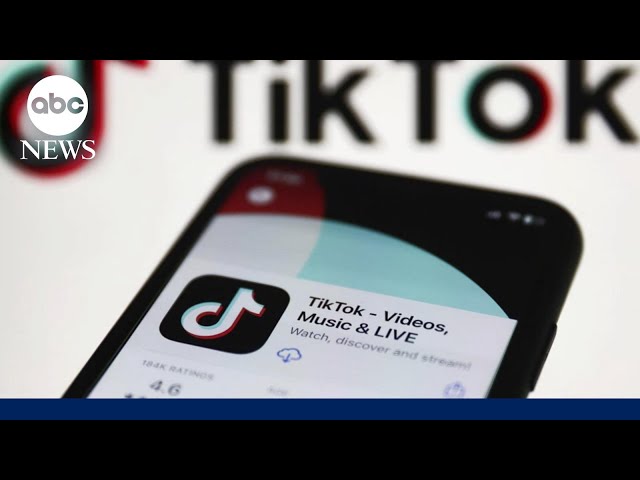 ⁣TikTok sues US government over potential ban