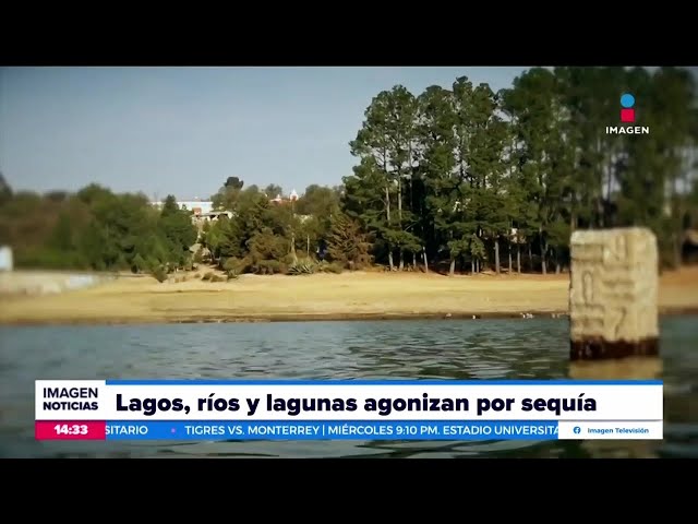 Lagos, ríos y lagunas agonizan por la intensa sequía