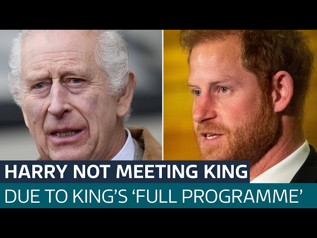 ⁣King Charles 'too busy' to meet with Duke of Sussex during Prince Harry's UK visit | 
