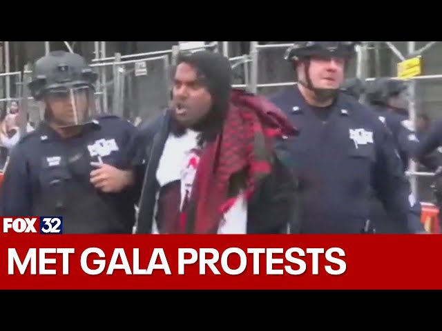 ⁣NYPD arrests 2 dozen protesters during Meta Gala