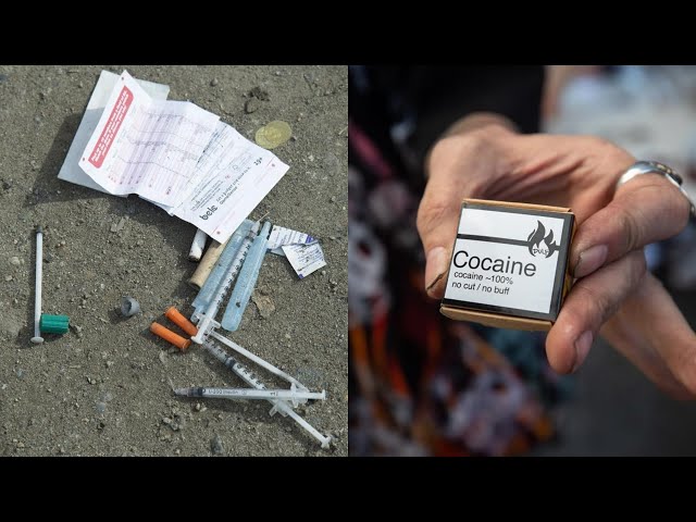 ⁣Federal Government approves B.C. amendment to recriminalize public drug use