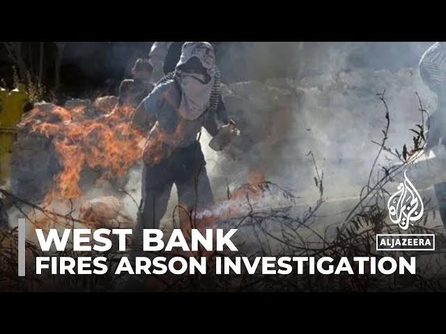 ⁣Occupied West Bank fires: Police investigating suspected arson attack