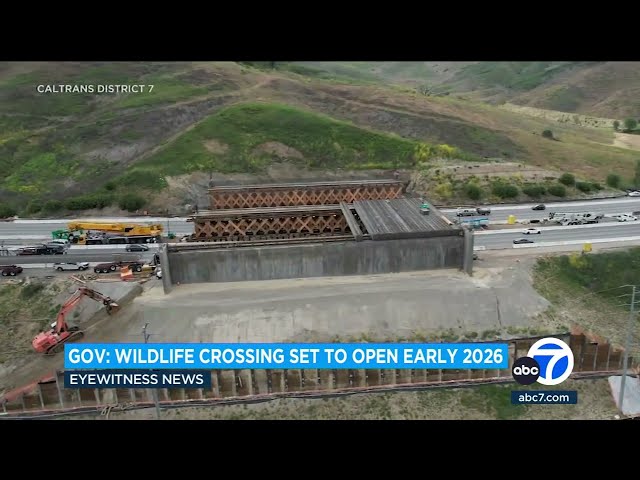 ⁣Wildlife crossing in Agoura Hills on track to open by early 2026