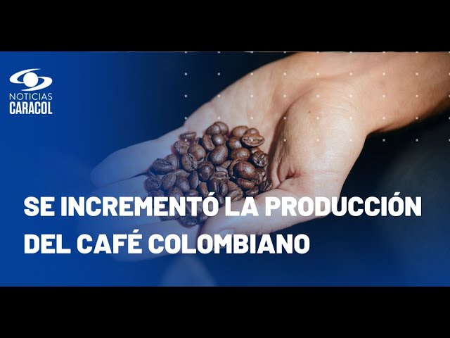 ⁣Así está el panorama actual de la producción y consumo de café en Colombia
