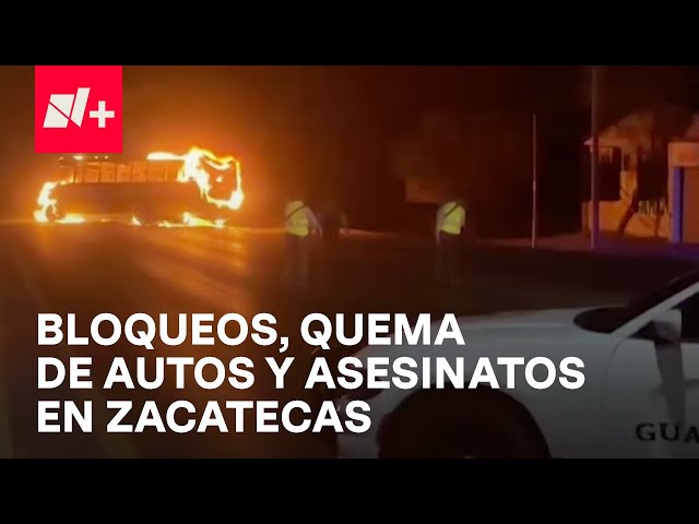 ⁣Hallan 10 cuerpos en Zacatecas: Criminales realizan bloqueos y queman autos - En Punto