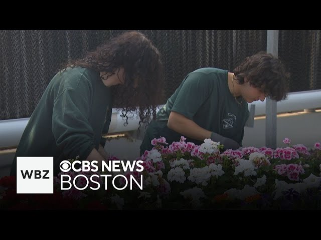 ⁣Massachusetts high school students plan every aspect of 4-day flower sale