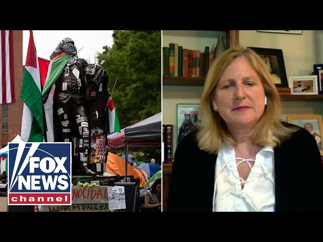 ⁣GW professor to anti-Israel protesters: Go to Gaza