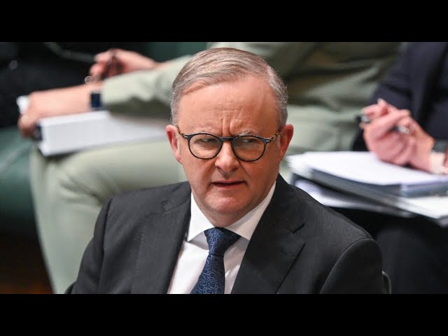 ⁣Australians ‘can’t believe a word’ Anthony Albanese says: Bronwyn Bishop
