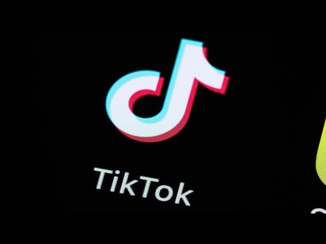 ⁣TikTok sues U.S. government: What to know