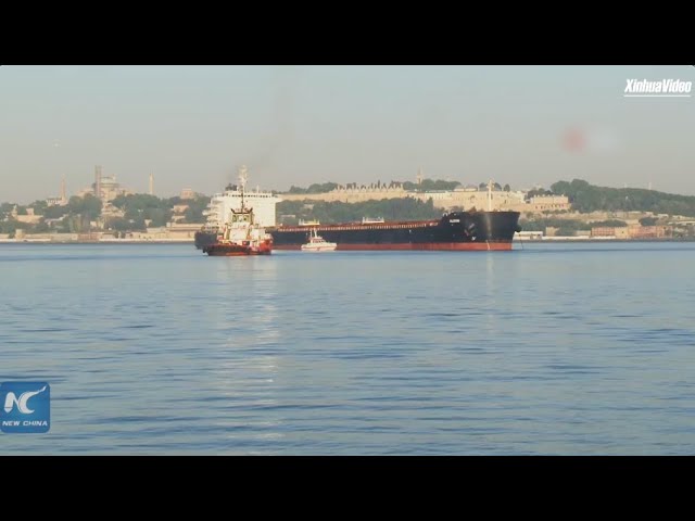 ⁣Cargo ship ran aground in Türkiye's Bosphorus Strait rescued