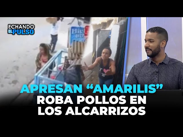 ⁣Apresan "Amarilis" roba pollos en Los Alcarrizos | Echando El Pulso