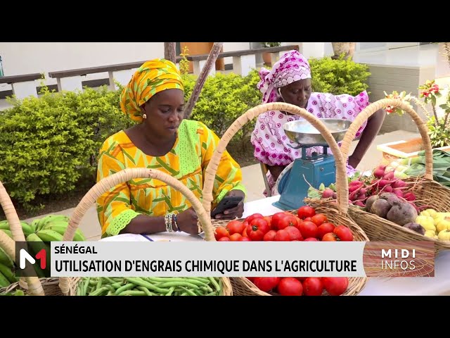 ⁣Sénégal : utilisation d'engrais chimique dans l'agriculture