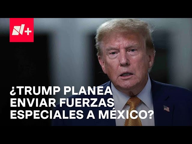 Trump mandará fuerzas especiales a México para enfrentar a narcotraficantes - Despierta