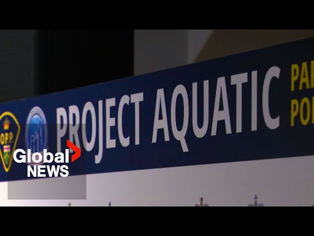 ⁣Project Aquatic: 64 people charged in massive child exploitation investigation in Ontario