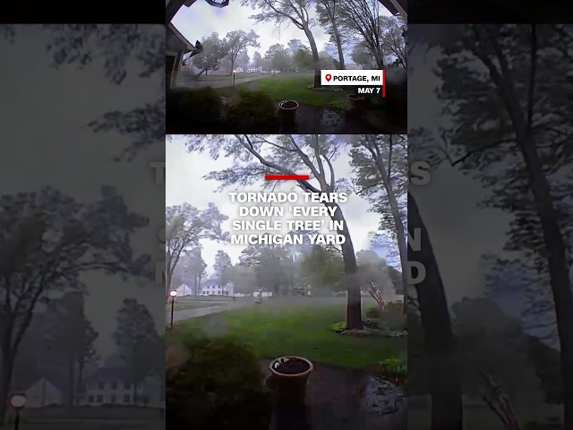 ⁣Tornado tears down ‘every single tree’ in Michigan yard
