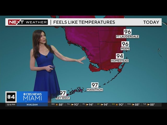 ⁣South Florida 12 p.m. Weather Forecast 5/8/2024