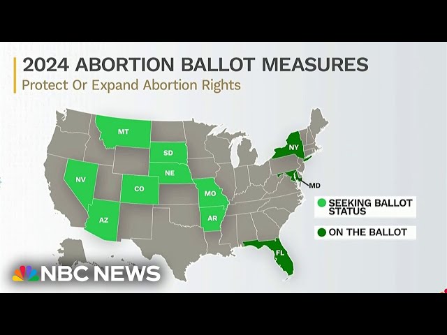 ⁣Which states will have abortion on the ballot in November?