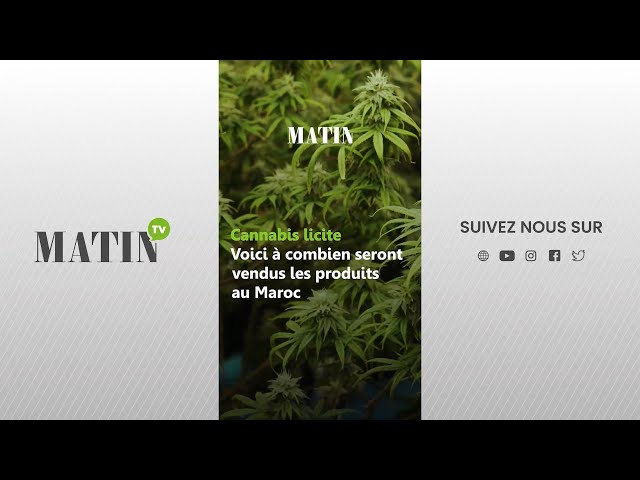 ⁣Cannabis licite : Voici à combien seront vendus les produits au Maroc