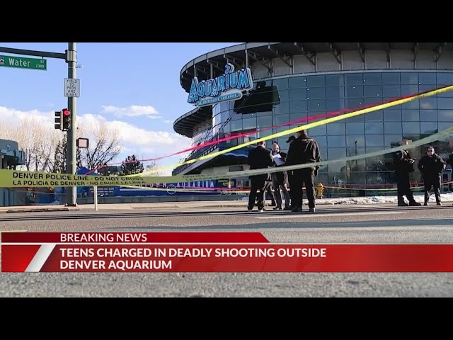 ⁣2 teens facing charges in death of man outside of Downtown Aquarium