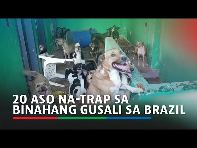 ⁣20 aso na-trap sa binahang gusali sa Brazil | ABS CBN News
