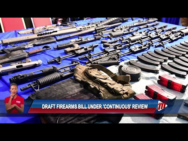⁣Draft Firearms Bill Under Continuous Review