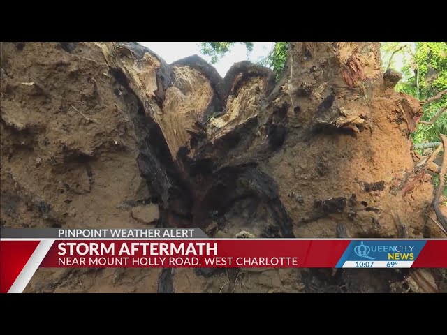 ⁣Storm causes huge tree to fall at west Charlotte home