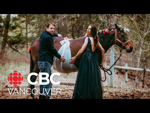 ⁣Williams Lake B.C., couple arranges maternity photo shoot for their horses