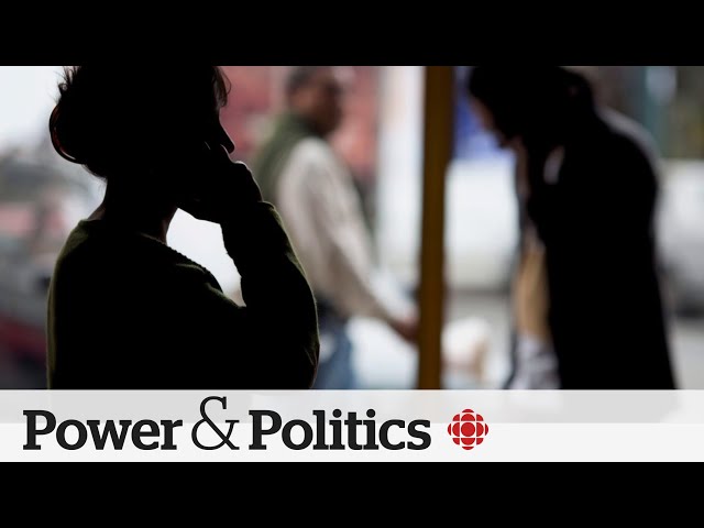 ⁣Liberal government tables bill aimed at curbing foreign meddling | Power & Politics