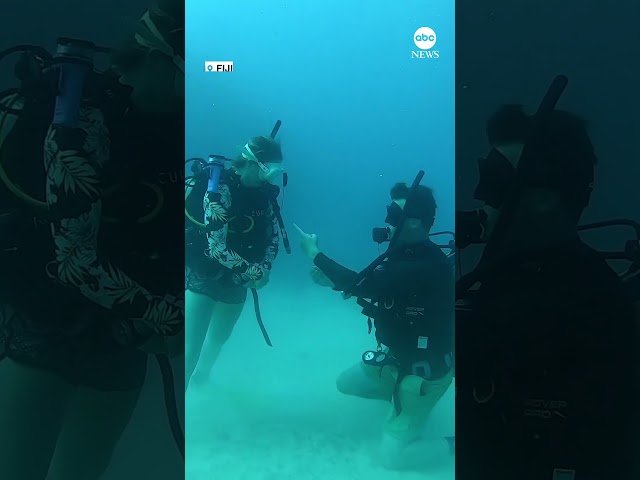 ⁣Man proposes to girlfriend while scuba diving off Fiji coast
