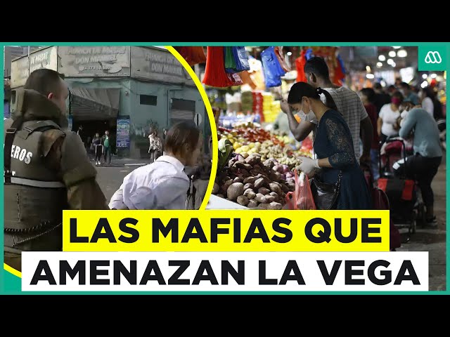 ⁣Crisis en La Vega: Vecinos y locatarios denuncian que la delincuencia está hundiendo el sector
