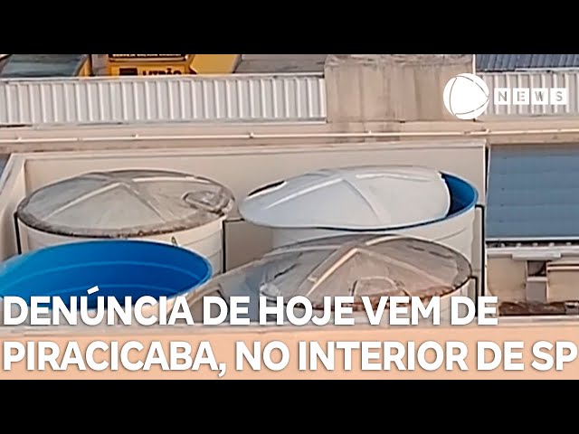 ⁣Record News contra a dengue: denúncia de hoje vem de Piracicaba, no interior de SP