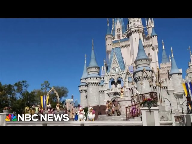 ⁣Remote workers spark trend online by working from Disney parks