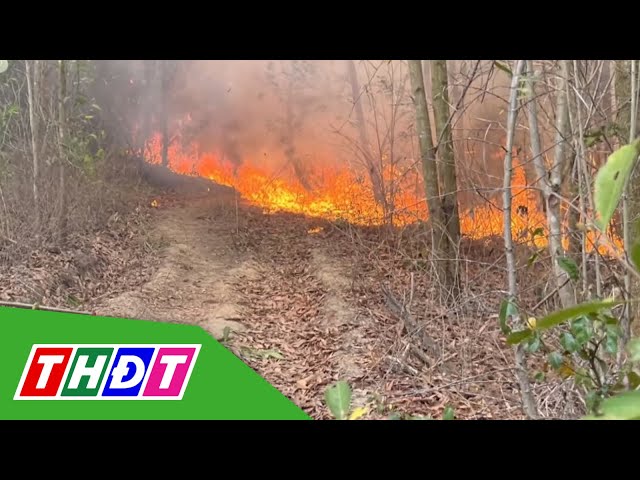 ⁣Khánh Hòa: Cháy hàng chục hecta rừng và ruộng mía | THDT