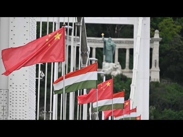 ⁣Live: Special coverage of welcome ceremony for Chinese President Xi Jinping's state visit to Hu