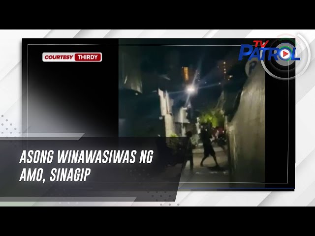 ⁣Asong winawasiwas ng amo, sinagip | TV Patrol