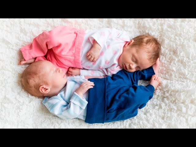 ‘Horrified’: Book for toddlers explains why new baby sibling is a ‘they’